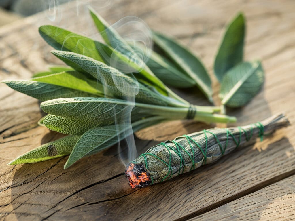 sage for incense clearing